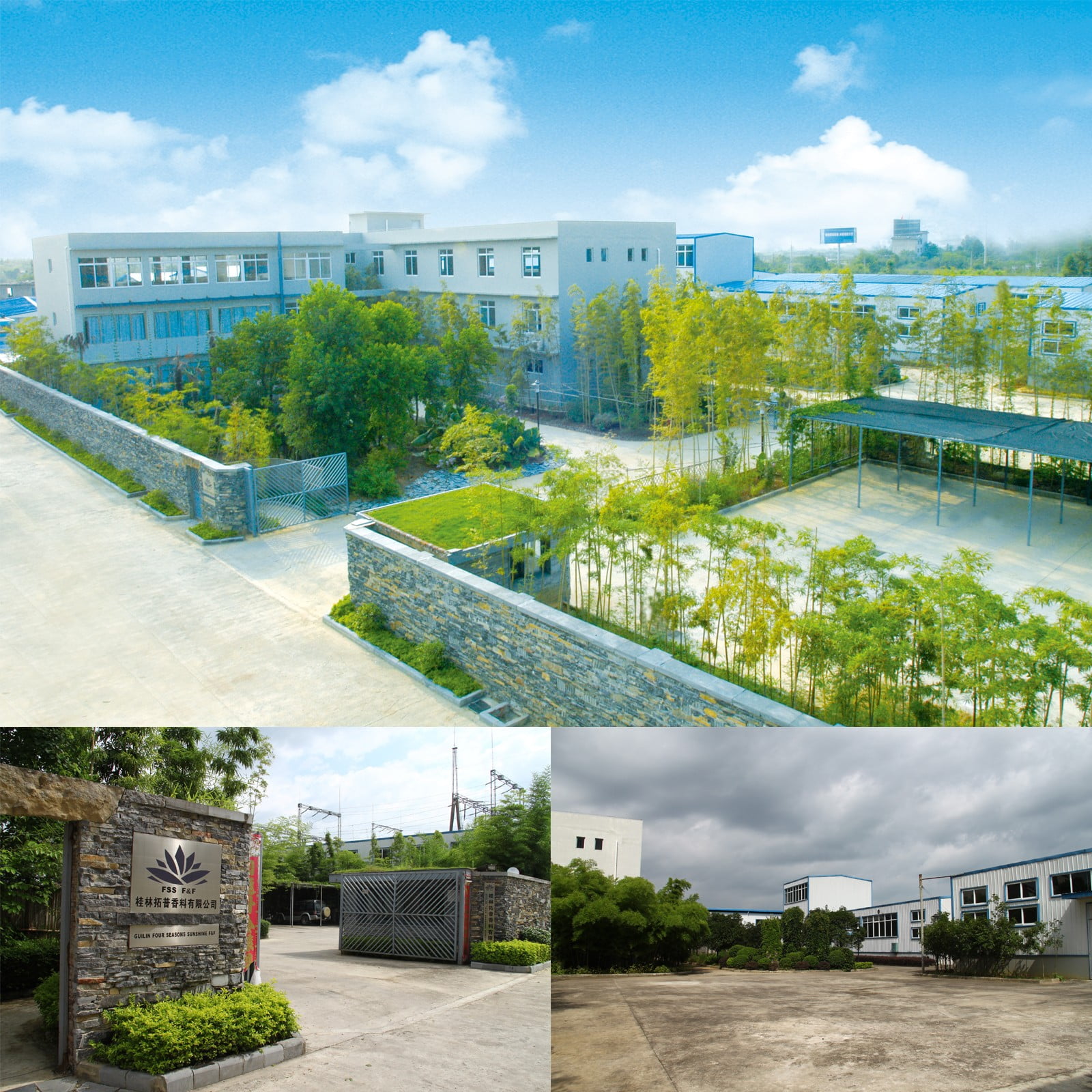 100 pure santalum album linn sandalwood essential oil / Your natural